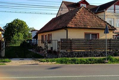 Vand casa cu gradina - 3