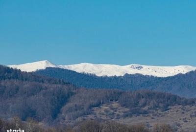 Spațiu comercial, în Teișani