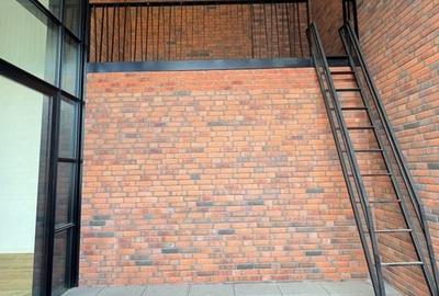 Loft spectaculos în complexul exclusivist Brick Loft - Intrarea Chefalului - 18