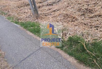 Teren Stalpeni, zona Livezeni, la DN, intravilan, 4000 mp - 3