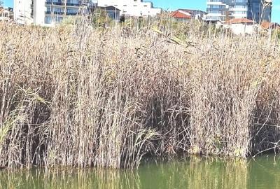 Apartament cu 2 camere decomandat, mobilat în Nord - 14