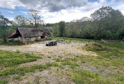 Teren intravilan 3054mp cu utilitati+constructie pe teren... - 4