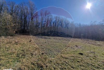 Teren de 4985 mp, în Sascut - 12