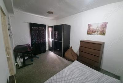 Apartament cu 2 camere semidecomandat în Ozana - 3