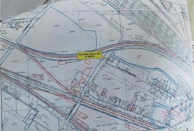 Casa individuala, curte proprie | Giulesti - Chitila Triaj | 720 mp - 4