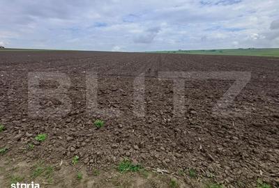 Teren de 3256 mp, în Bosanci - 3
