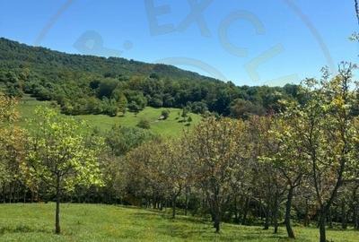 Teren agricol intravilan de 12225 mp, în Aranghel
