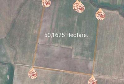 Dau in arenda 50ha - 1