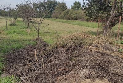 Casă cu 3 camere în Central