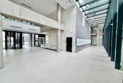 Penthouse cu 4 camere decomandat în Floreasca - 3