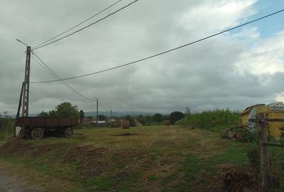 Teren Construcții intravilan de 3687 mp, în Dumbrava - 5