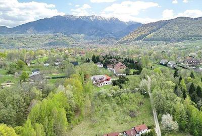 Teren intravilan Bran- Predelut - 12