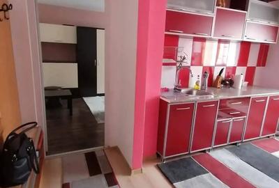 Apartament ultracentral in Petro?ani, de vanzare sau inchiriere 300 euro pe luna - 7