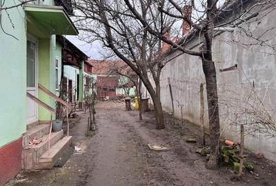 Casă cu 3 camere în Aradul Nou - 7