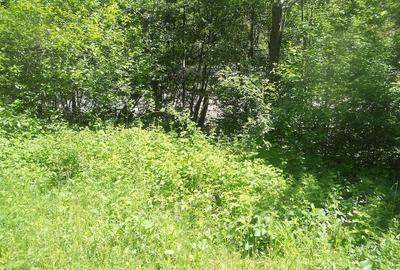 Teren de 10000 mp, în Central - 19