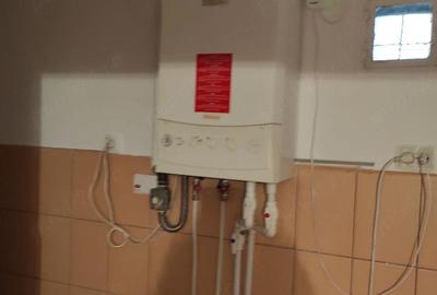 Casă cu Teren 200 Mp în Gojdu - 4