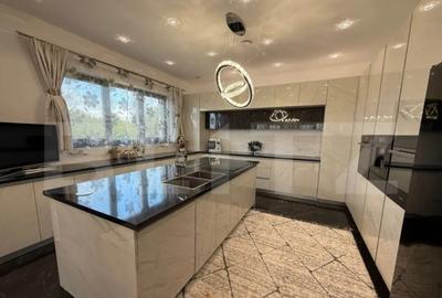 Casă cu 5 camere cu Teren 3500 Mp în Viile Satu Mare - 1