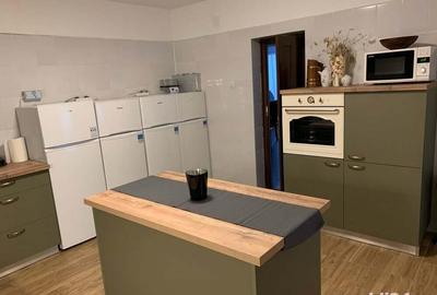 Spațiu comercial, de 450 mp, în Sasca Montană - 3