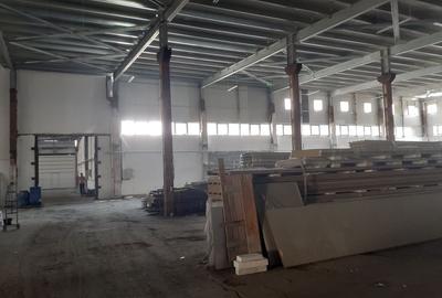 Hala renovata situata in zona Progresul - 10