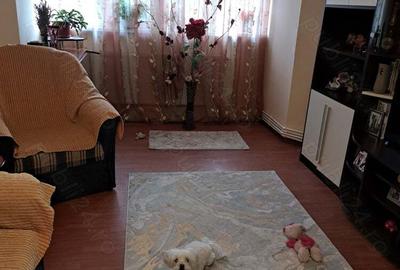 Apartament 2 camere - 3