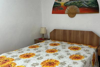 Apartament cu 2 camere semidecomandat în Decebal - 3