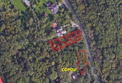 Copou - Teren intravilan 1853 mp PUZ in lucru 3 locuinte