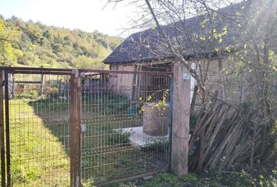 Teren 6000mp Julita, Arad - 3