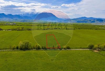 Teren agricol extravilan de 3000 mp, în Pănicel - 1