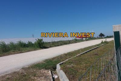 Ovidiu-PECO Celsy- DN 2A teren intravilan, zona industriala - 11