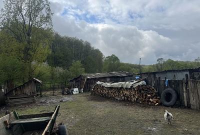 Casă cu 2 camere în Licurici - 6