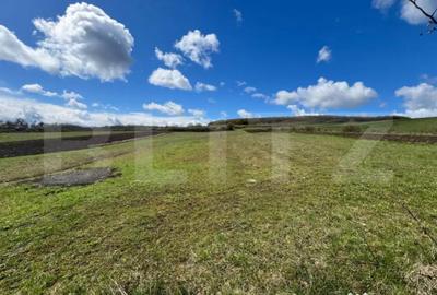 Teren de 2500 mp, în Jelna - 2