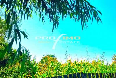 Teren 1486mp.D=50m.cu casa 3 camere locuibila, Tulcea-Somova - 3