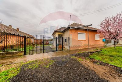 Casă individuală cu 5 camere în Macea
