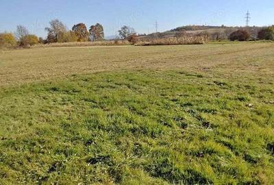 Seini zona de case noi, 500 E ar intravilan - 1