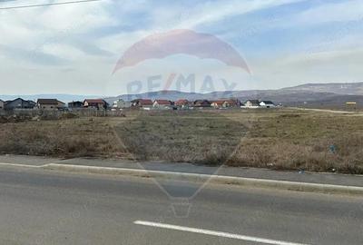 Teren intravilan, 5000 mp, Drobeta-Turnu Severin - 4