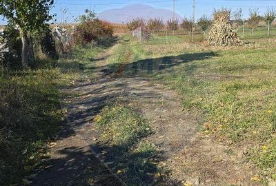 Teren de vanzare in Maneuti - 5