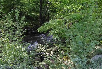 Teren de 5500 mp, în Pietroasa - 8