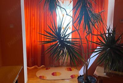 Inchiriez apartament 2 camere - 3