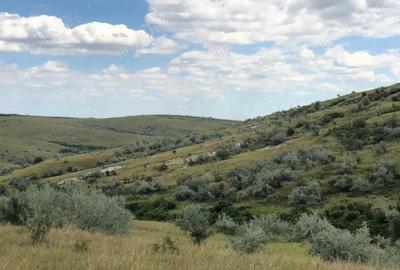 Vanzare 50 Ha pasune, judetul Prahova - 6