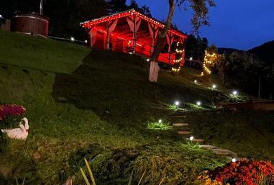 Casă cu 5 camere cu Teren 3900 Mp în Barticești - 2