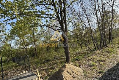 Teren de 667 mp, în Tăuții-Măgherăuș - 1