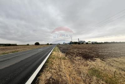 Teren agricol extravilan de 27882 mp, în Exterior Est - 6