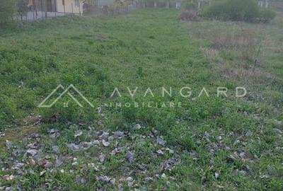 Teren intravilan 1800 mp – Șutu, comuna Ciurila - 3