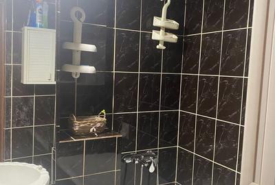 Apartament cu 2 camere decomandat în Central - 9