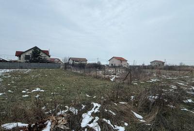 COMISION 0% | Teren de Vanzare in Sacalaz | Front 20m | 605mp - 2