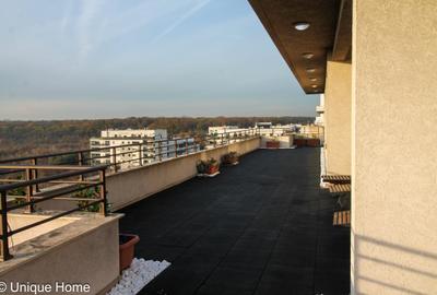 Apartament cu 4 camere semidecomandat, mobilat în Iancu Nicolae - 3