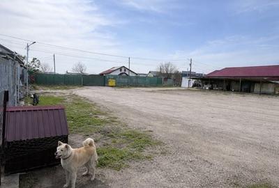 Spațiu comercial, în Poroschia - 5