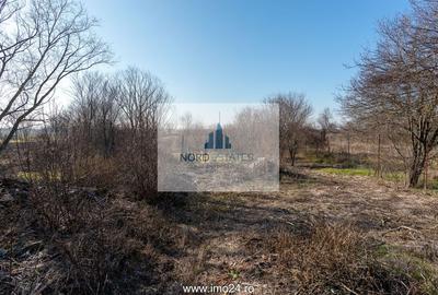 Tartasesti-Teren cu constructii mixte de vanzare Productie/Locuinta - 15