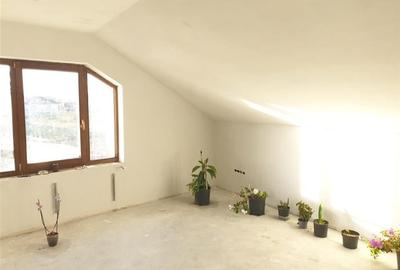 Teren Mare cu 2 case in Biharia. - 28