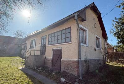 Casă cu 4 camere cu Teren 1250 Mp în Valea Crișului - 8